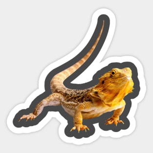 Bearded Dragon Sticker